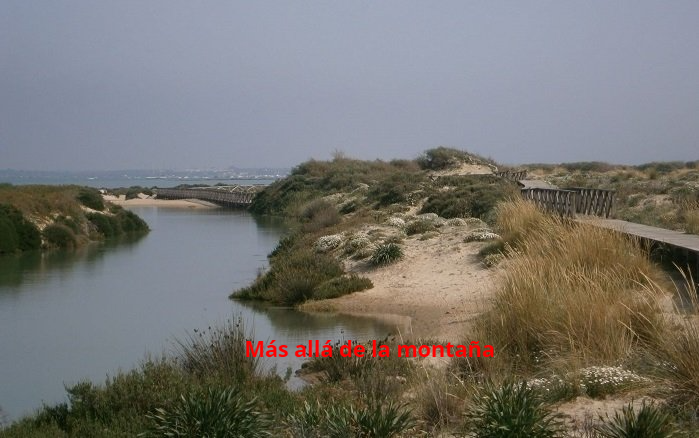 pasarelas y puentes entre las dunas de punta Boquerón