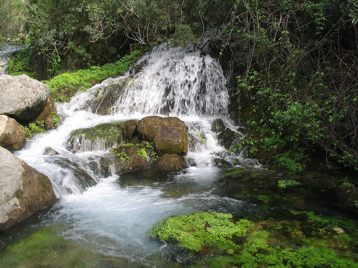 Río Majaceite