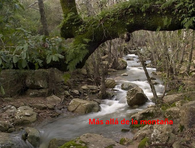 el Río Guadalmesí