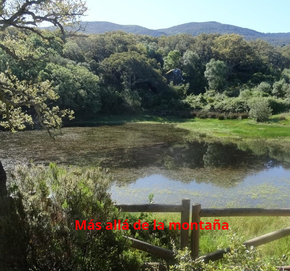 laguna de Picacho