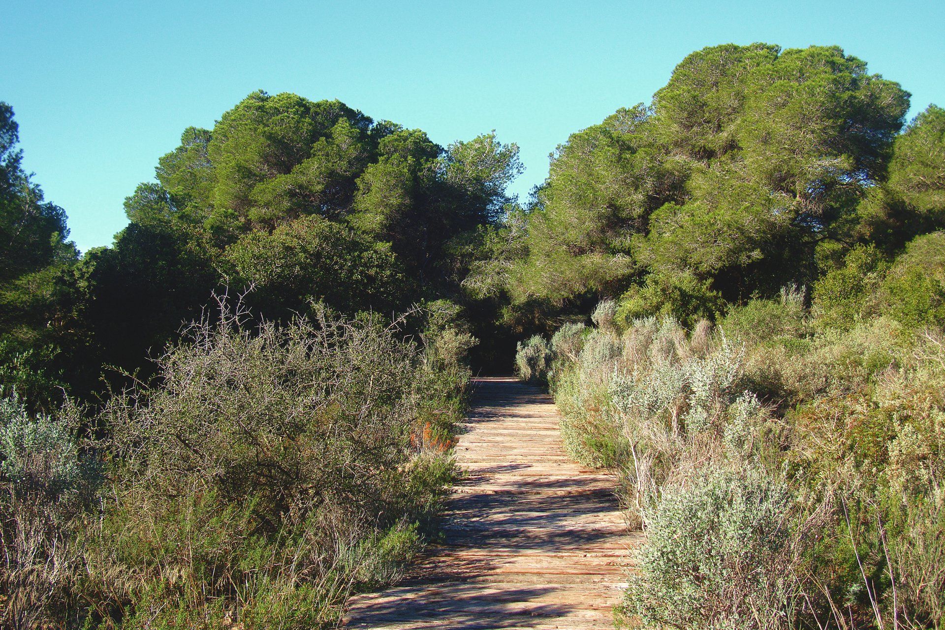 La Dehesa del Saler y su precioso entorno