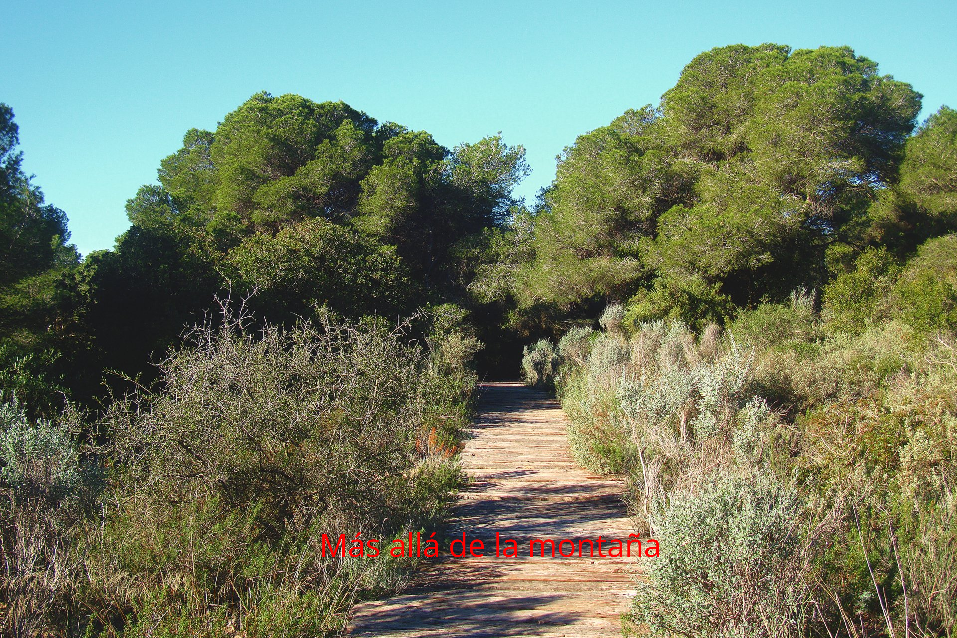 La Dehesa del Saler y su precioso entorno