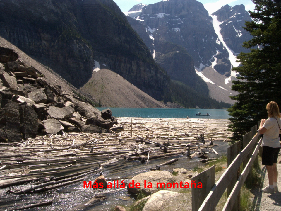 Moraine Lake lakeshore