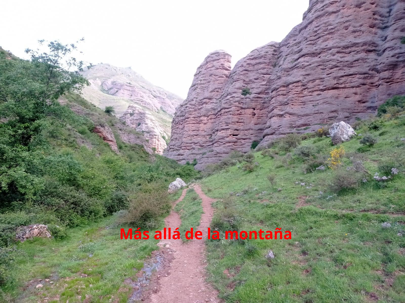 Subida al cerro de Peñalba en La Rioja