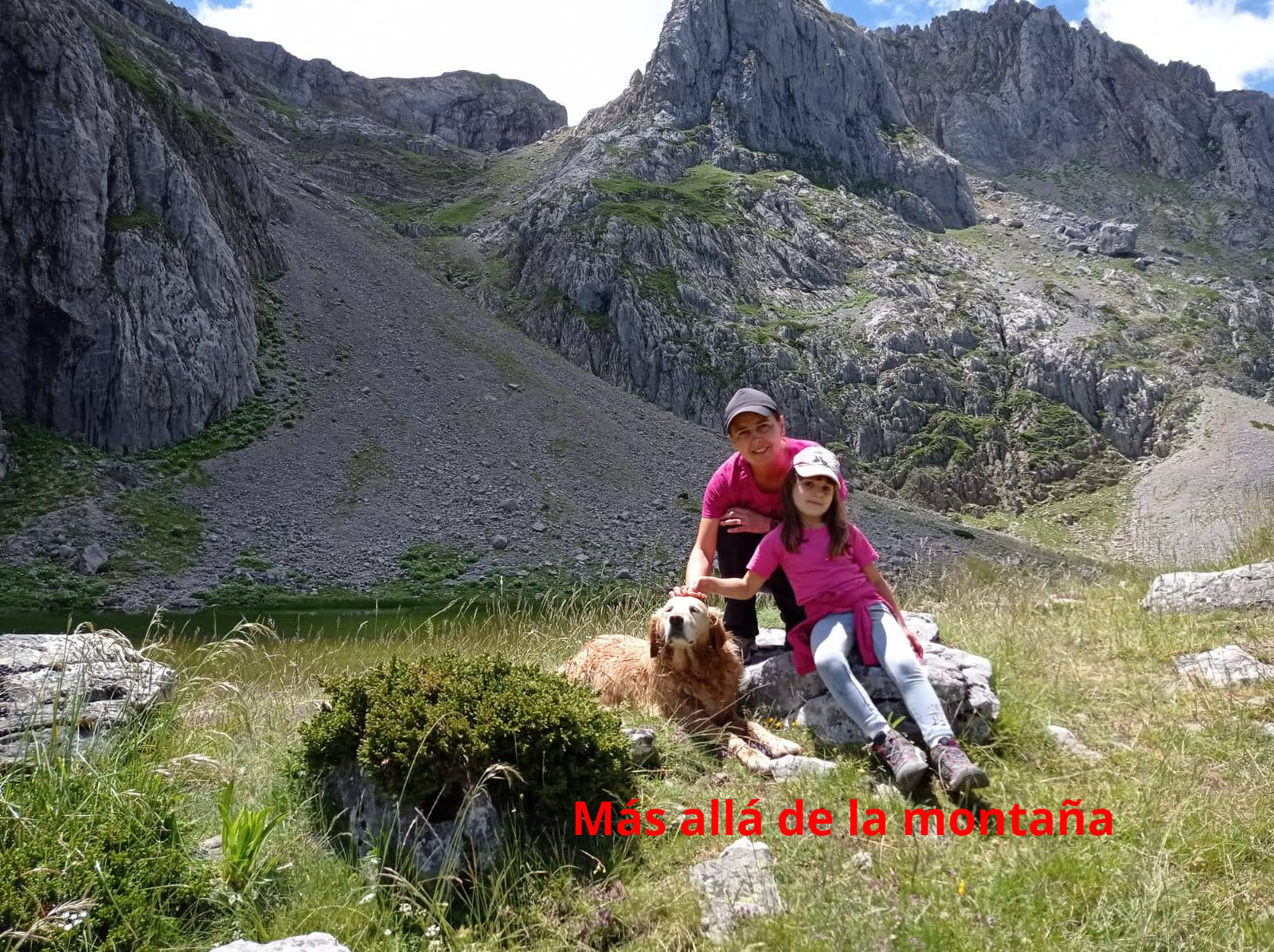 Cómo prevenir peligros al hacer senderismo con mi perro