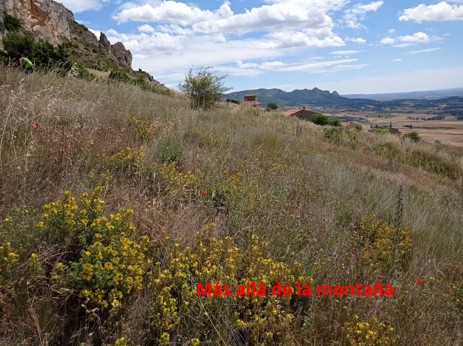 llegando al pueblo de Cellórigo campo através