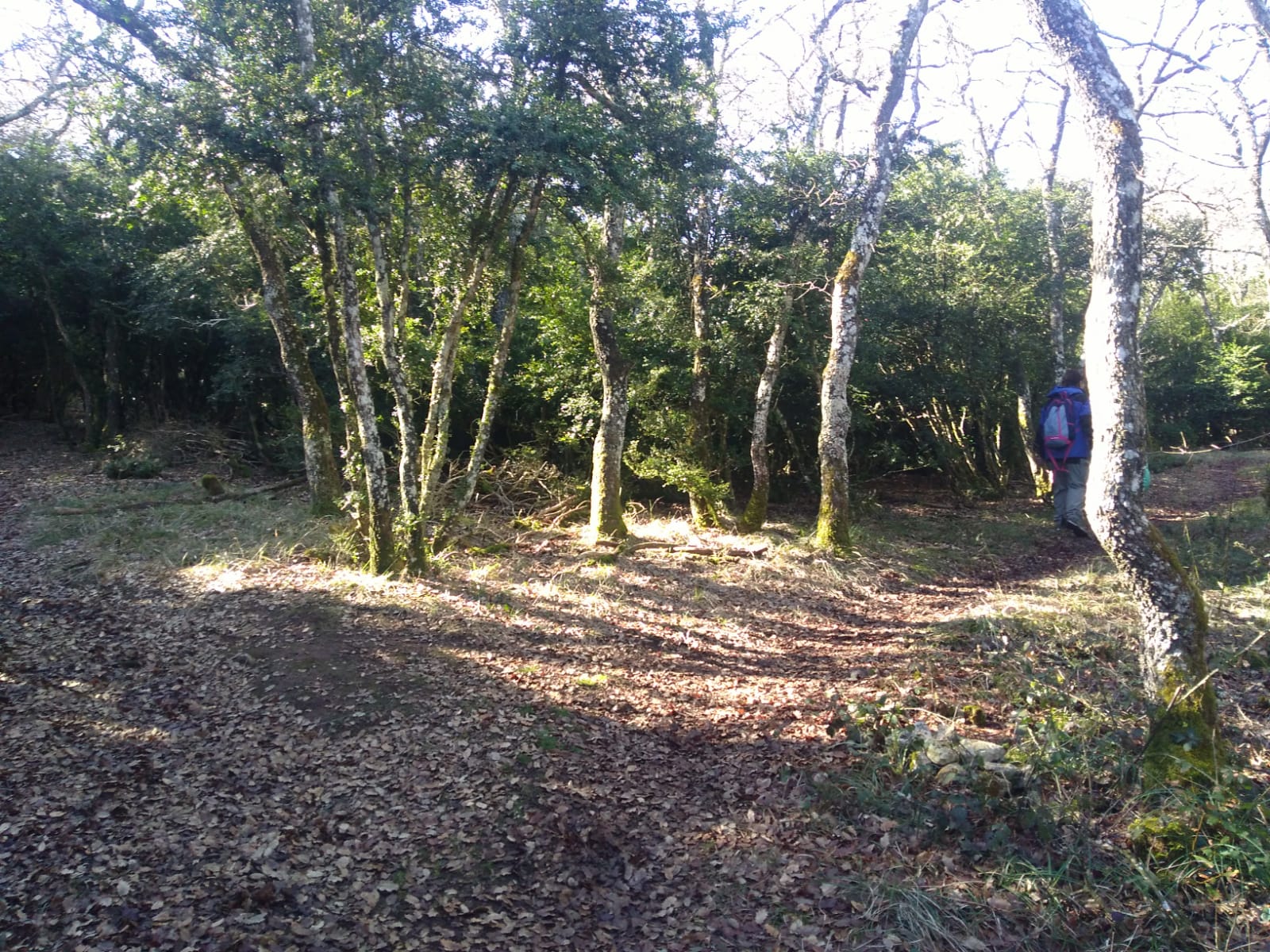 Seguimos el camino y llegamos a una bifurcación donde debemos seguir el camino de la derecha.
