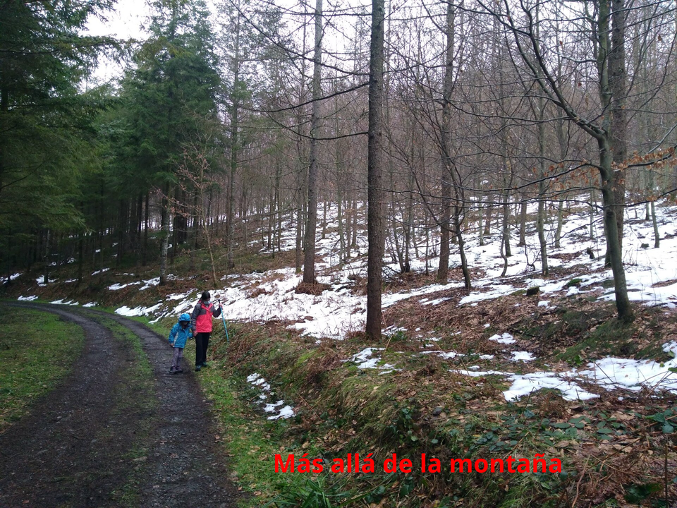 Pista que sube a Anporreta