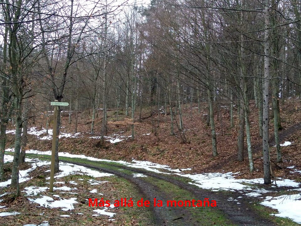 Desviación hacia la cima de Anporreta