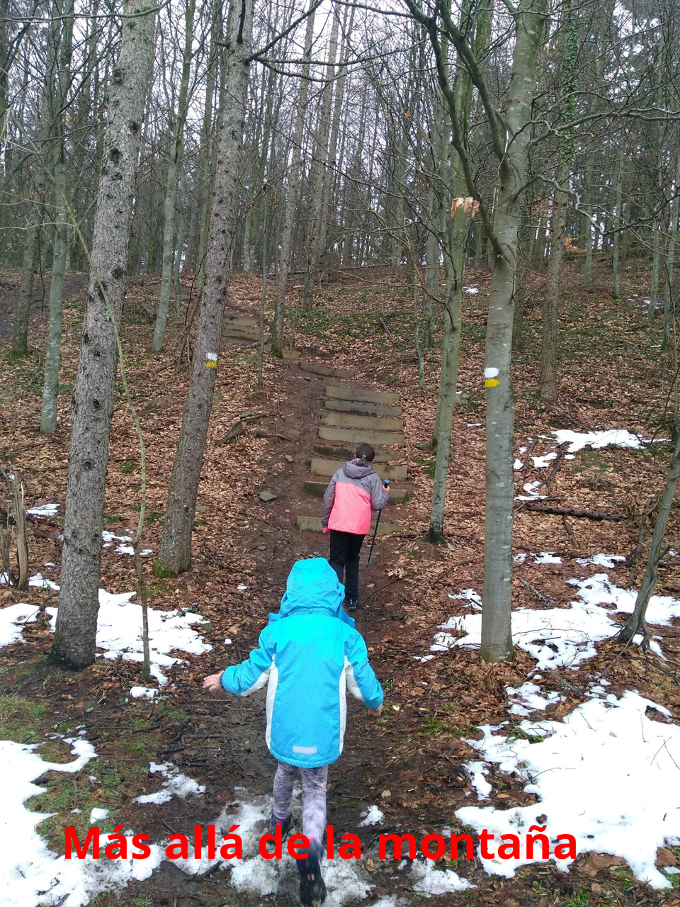unas escaleras en dirección a Anporreta