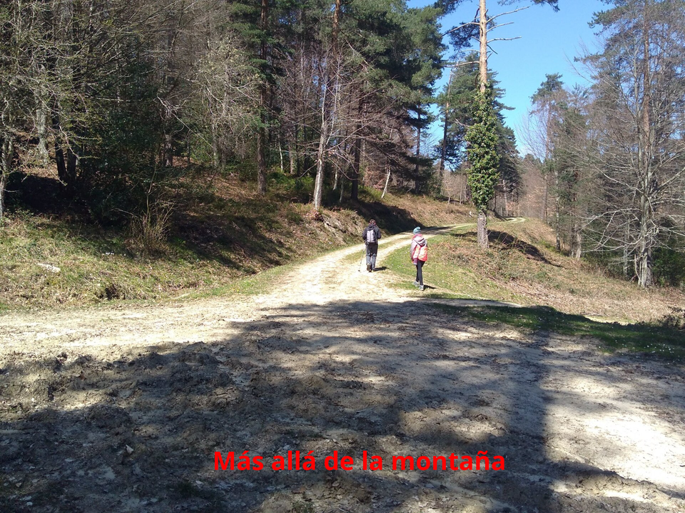 camino hacia Villafría de San Zadornil