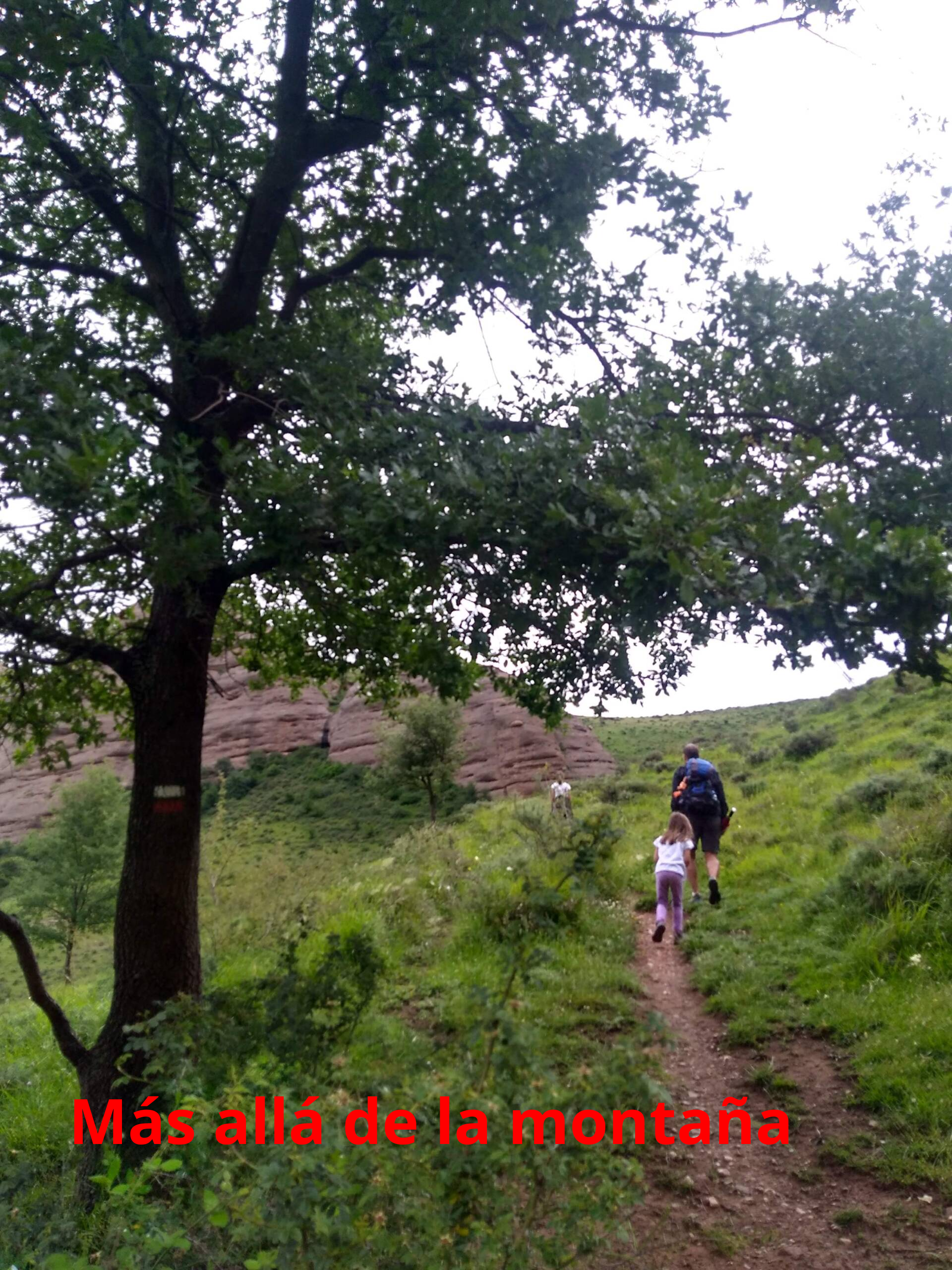 Seguimos las marcas blancas y rojas que nos hacen ascender la ladera de una forma cómoda hasta el collado de Londeras