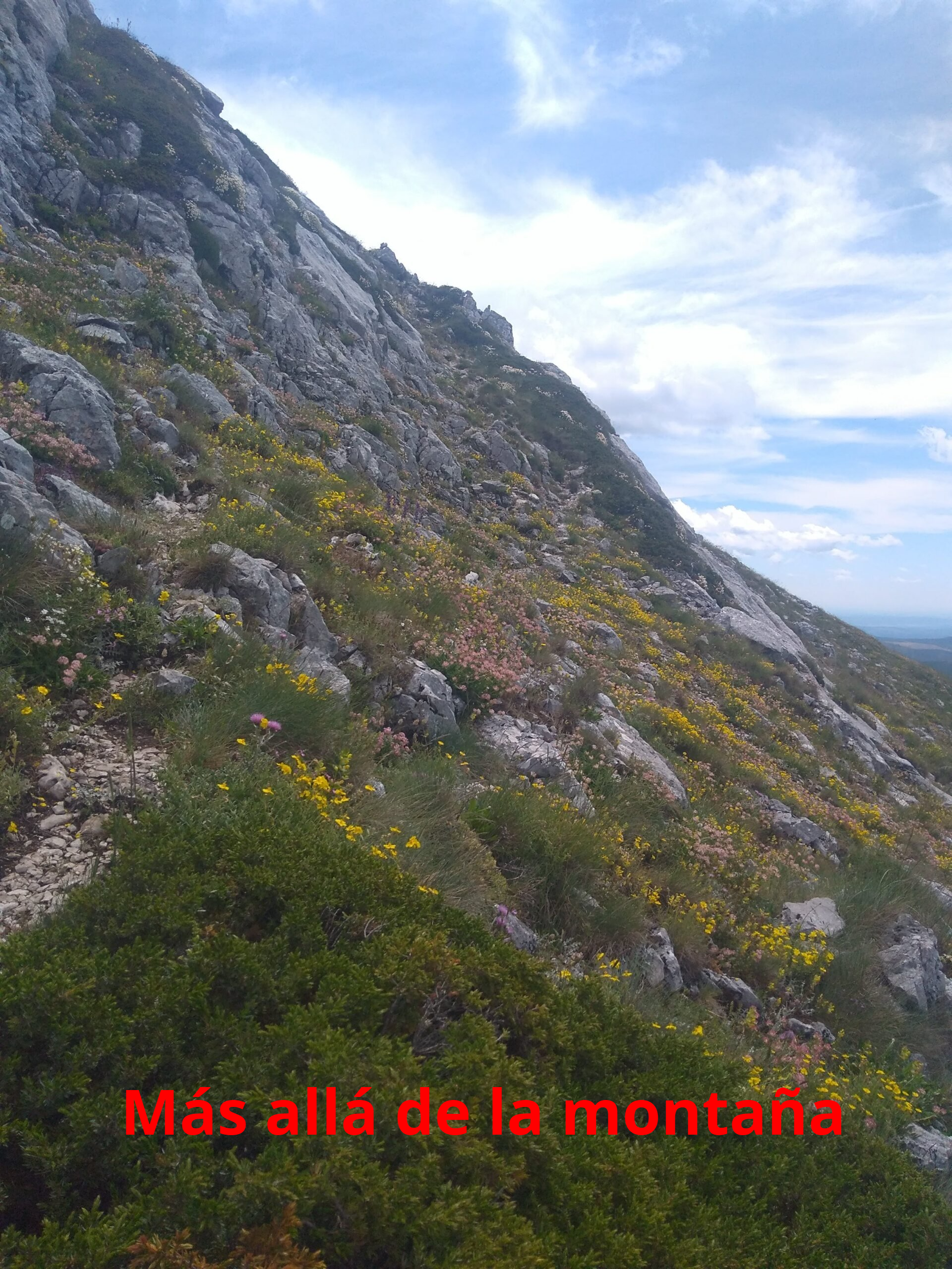 llegando a la arista cimera del pico Fontún
