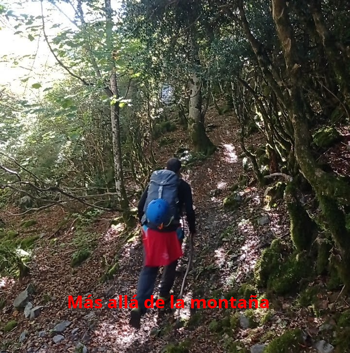 Descendemos el río por su margen derecha siguiendo un camino que en unos 10 minutos nos lleva hasta el pie de la vía.