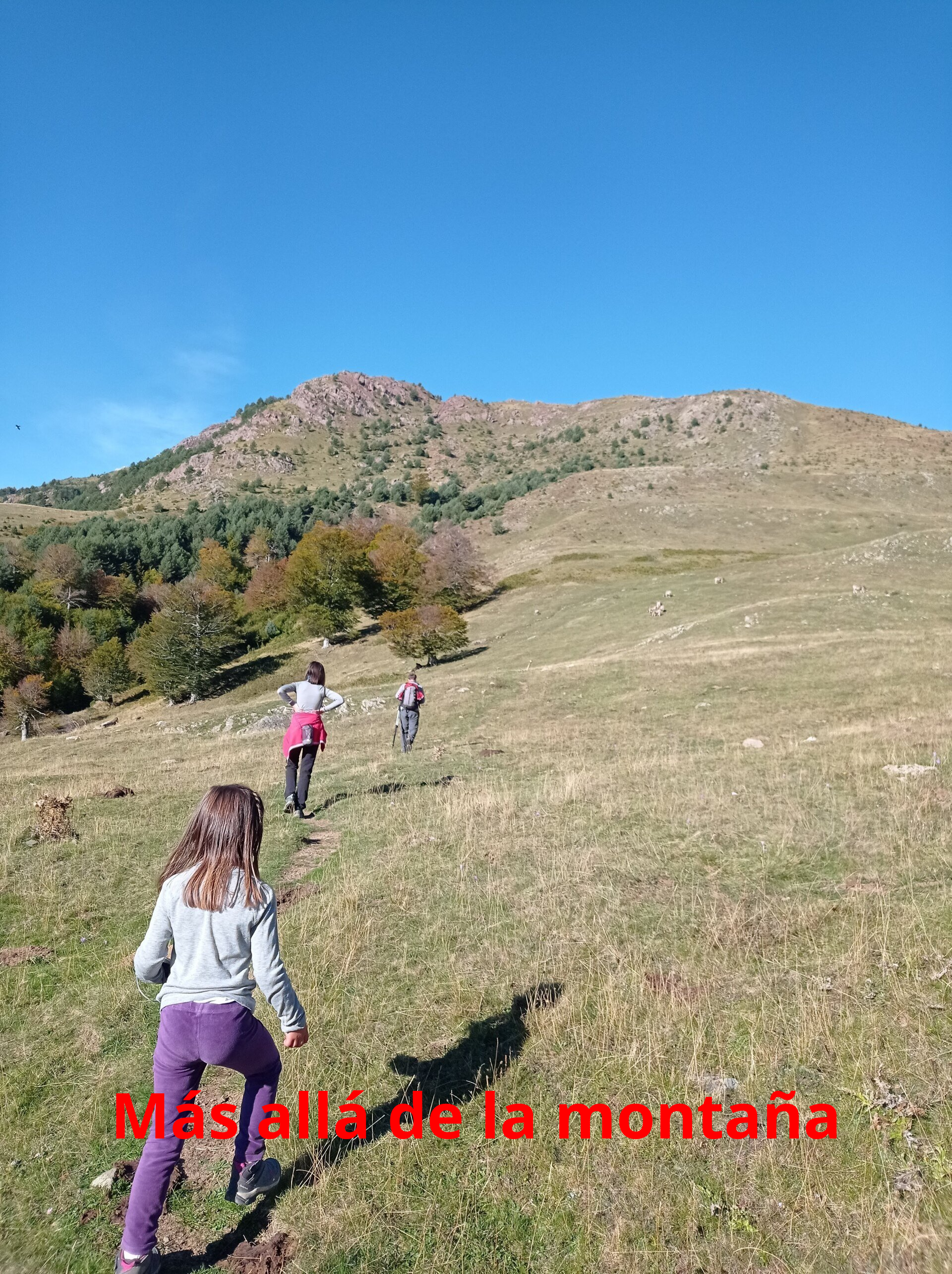 este inicio realizaremos amplias zetas