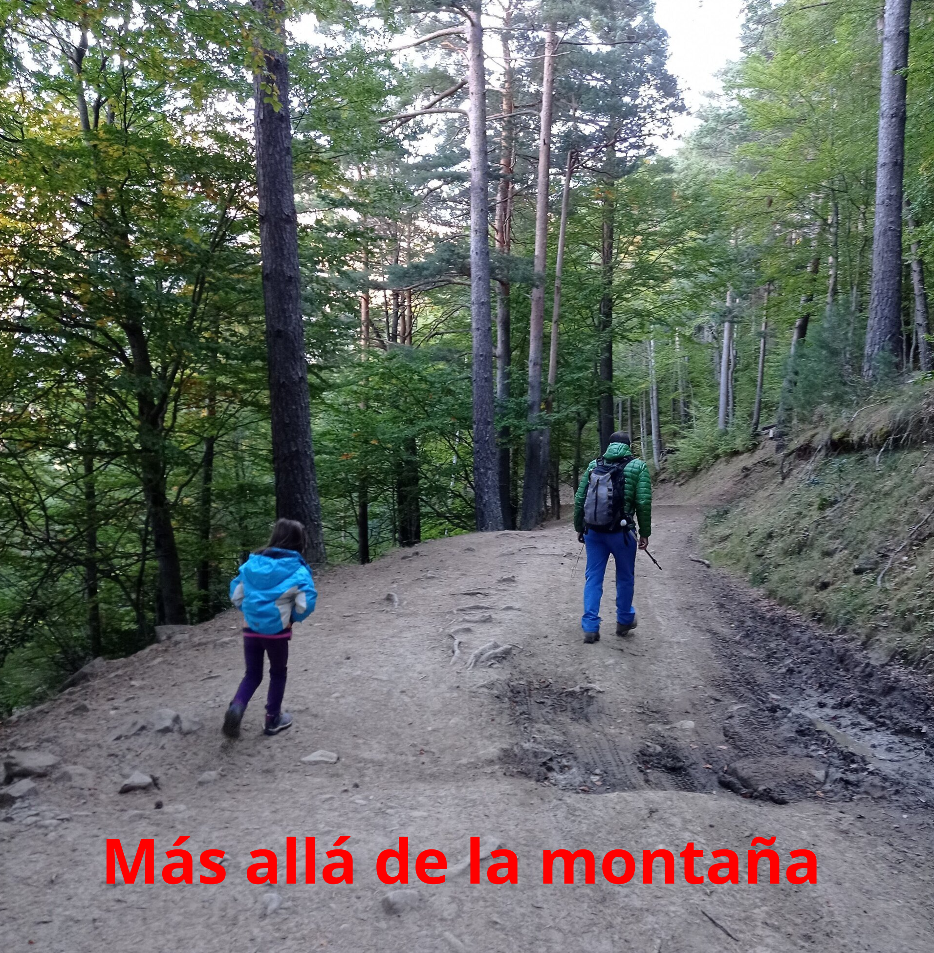 La senda en el primer tramo es muy agradable y discurre por una pista amplia a través de un frondoso bosque de robles y hayas.