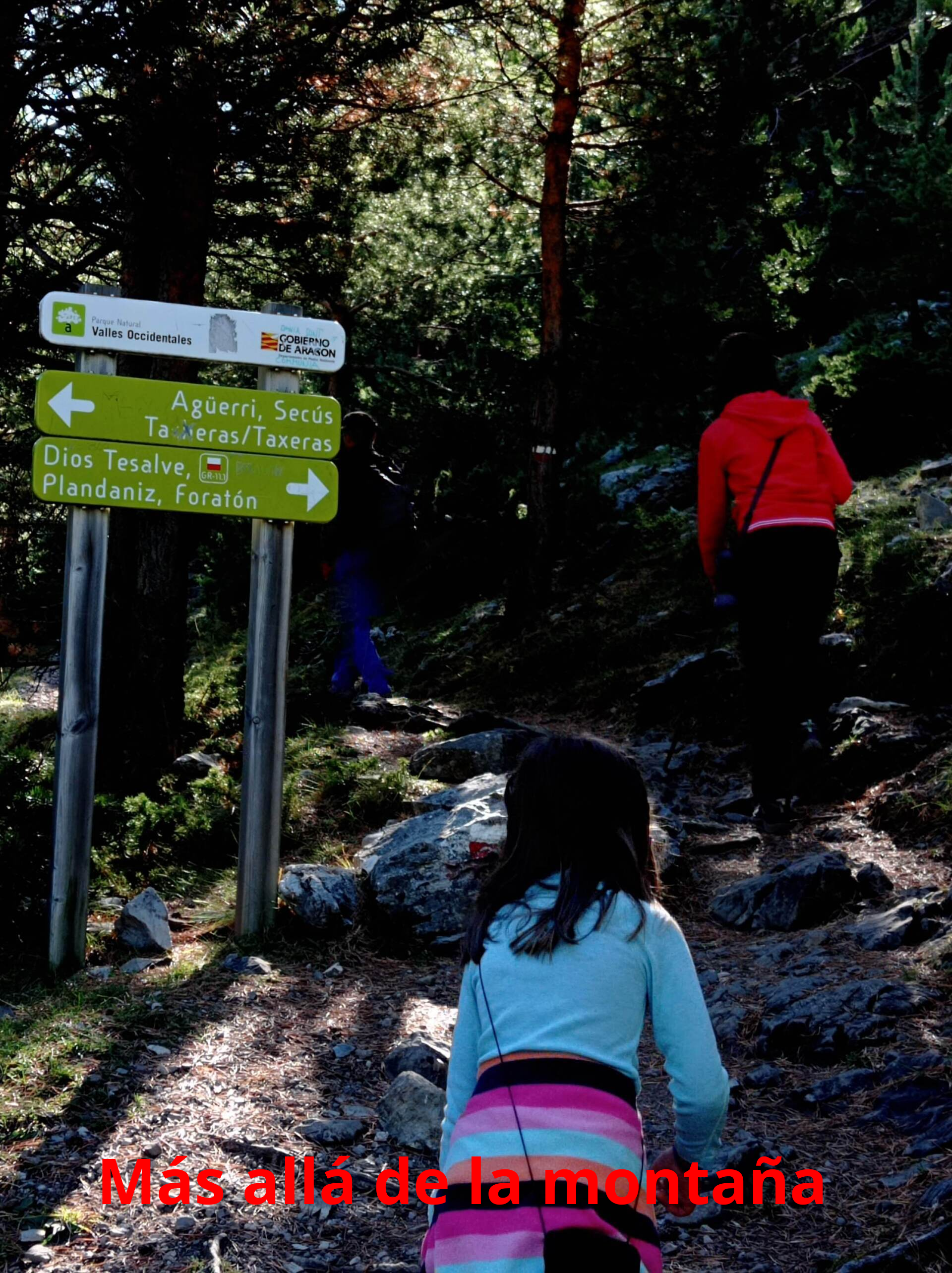 el camino se bifurca. Cogemos el camino marcado como GR, que sale a la derecha.