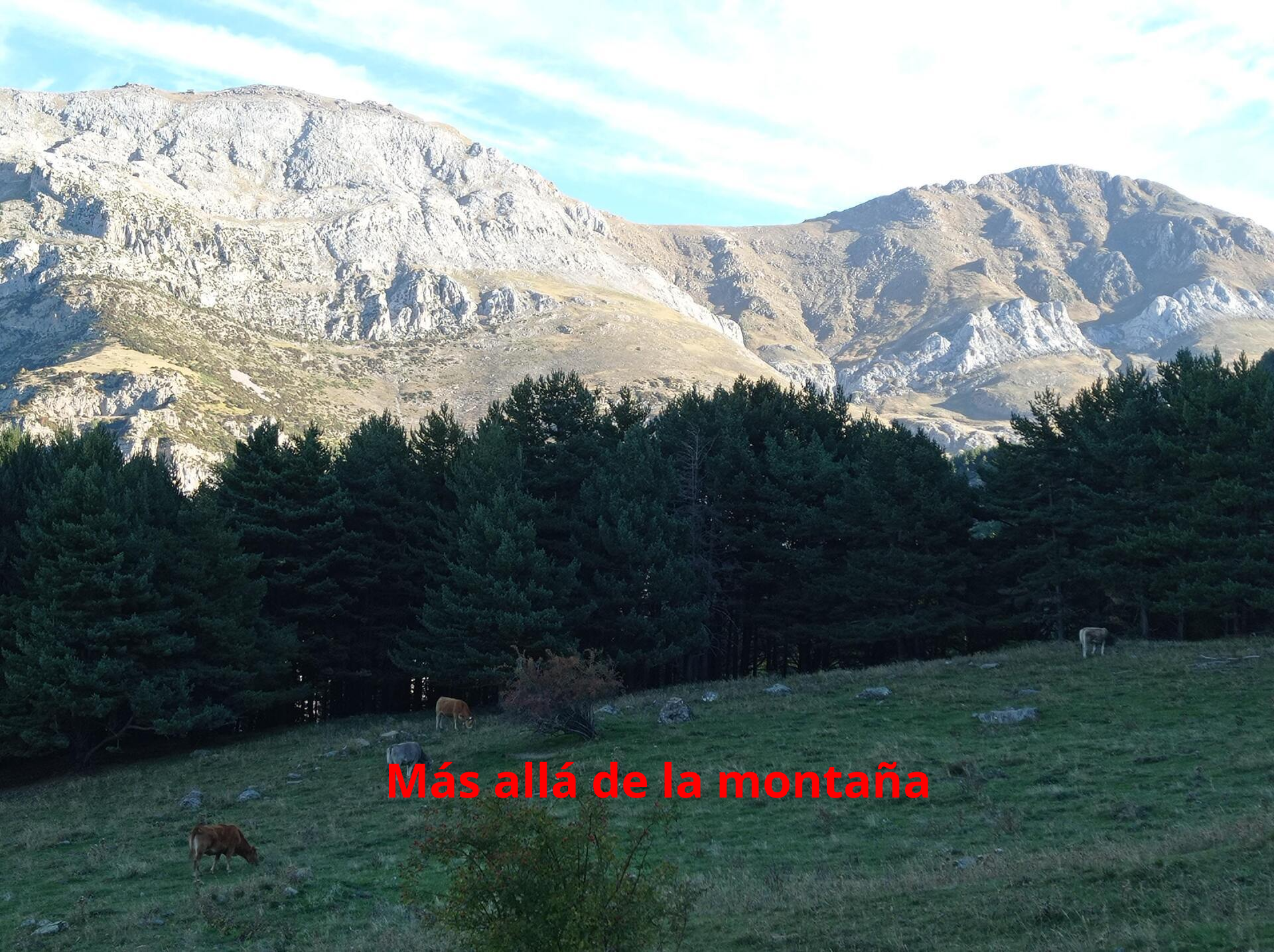 Peña Aguerri.