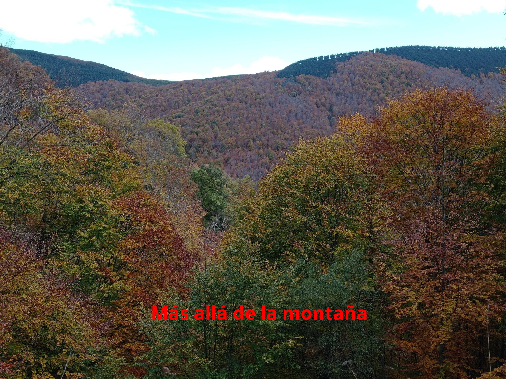 Hayedo el Rajao en La Rioja