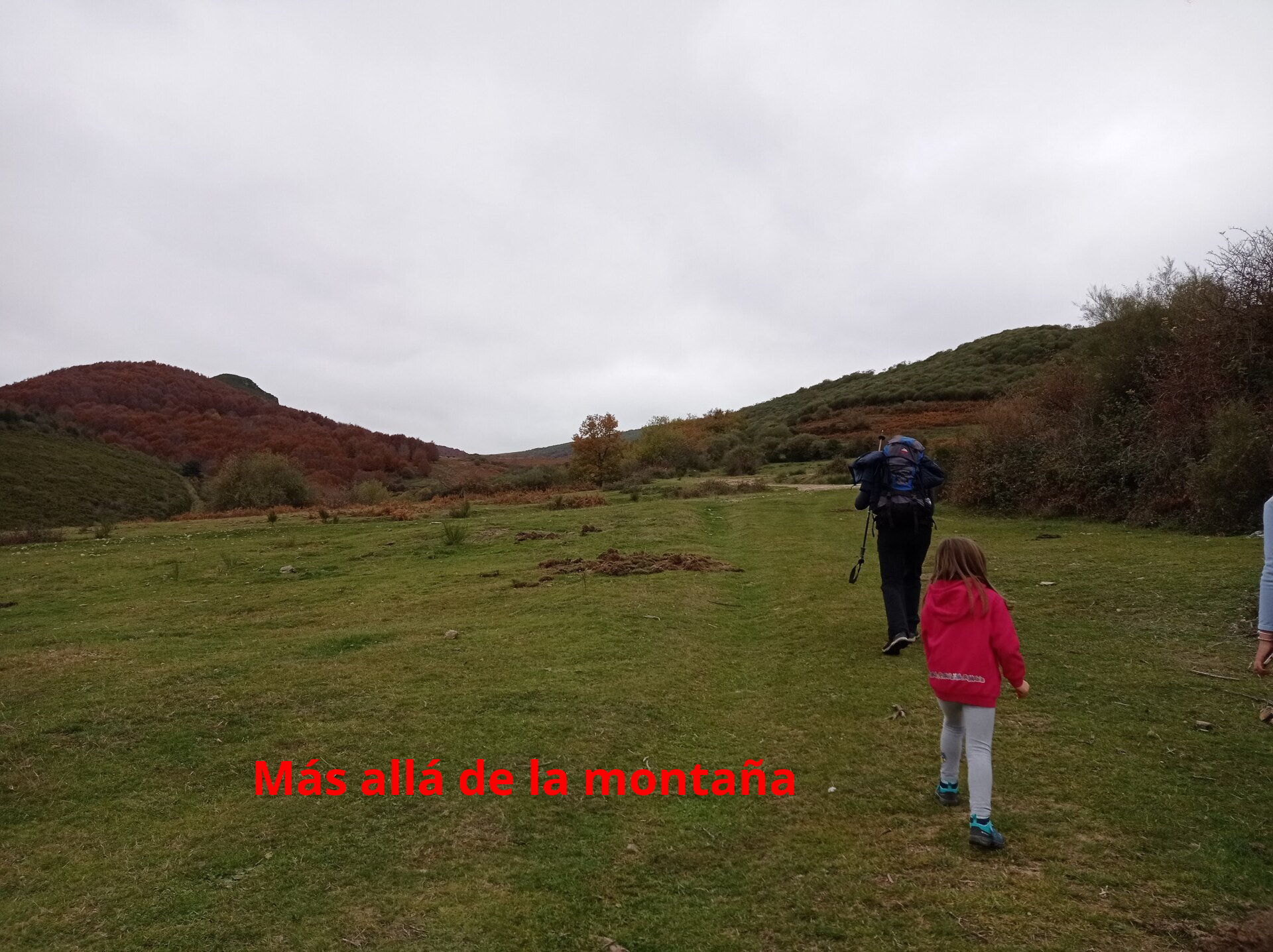 seguimos la pista hasta un bosque de hayas