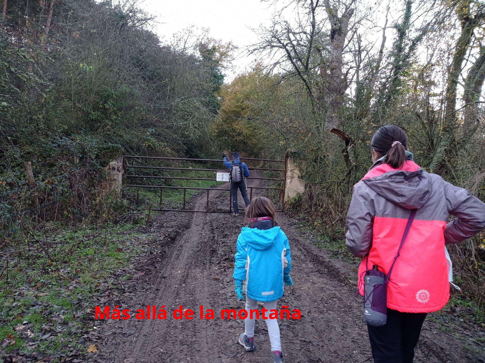 Comenzamos a caminar y atravesamos una verja para seguir por un camino entre árboles, que nos llevó hasta la cornisa de una ladera que se asomaba al Valle de Valderejo