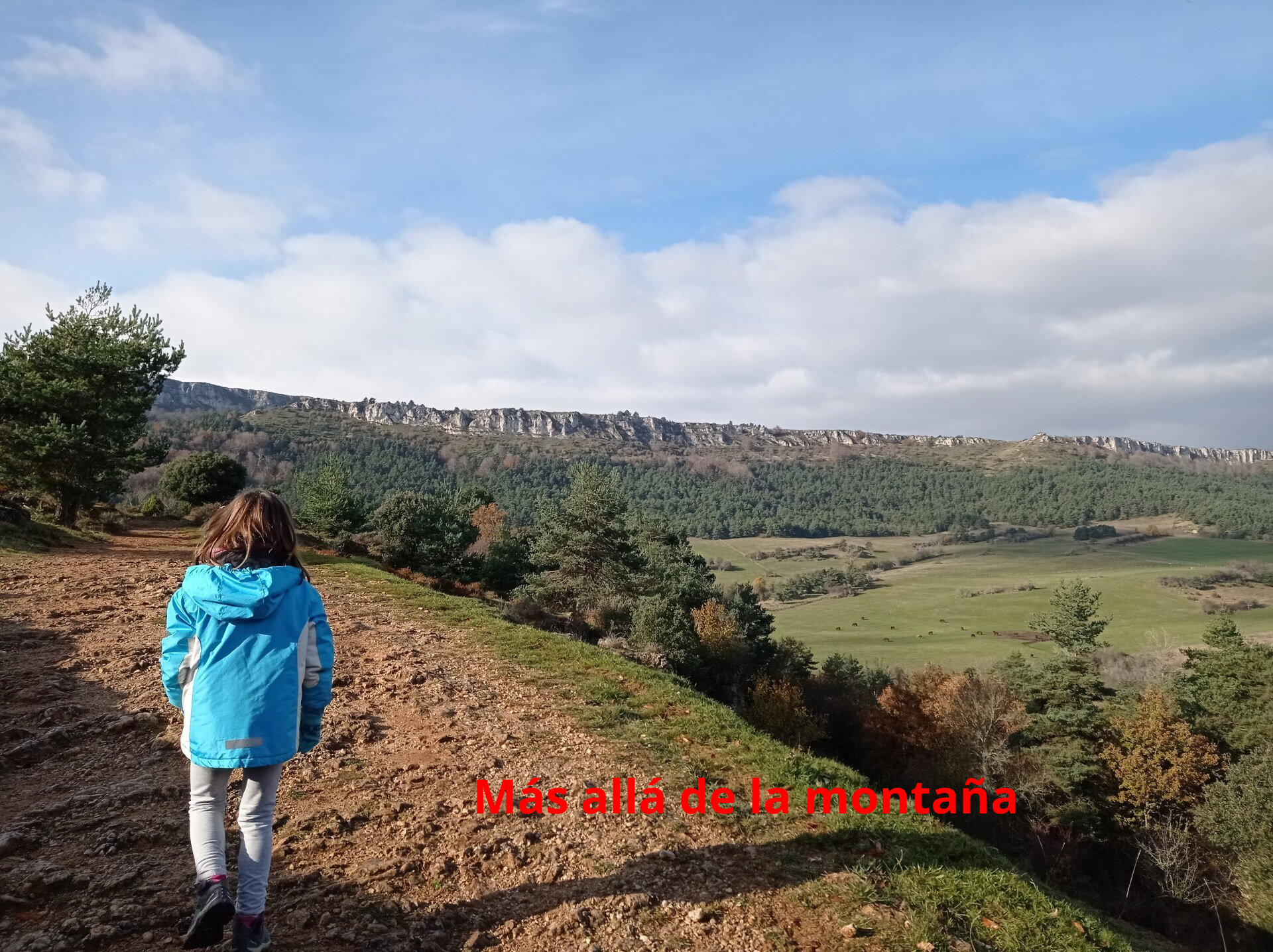 poder claramente la muralla de piedra caliza que forma la Sierra de Arcena y de la Sierra de Bóveda