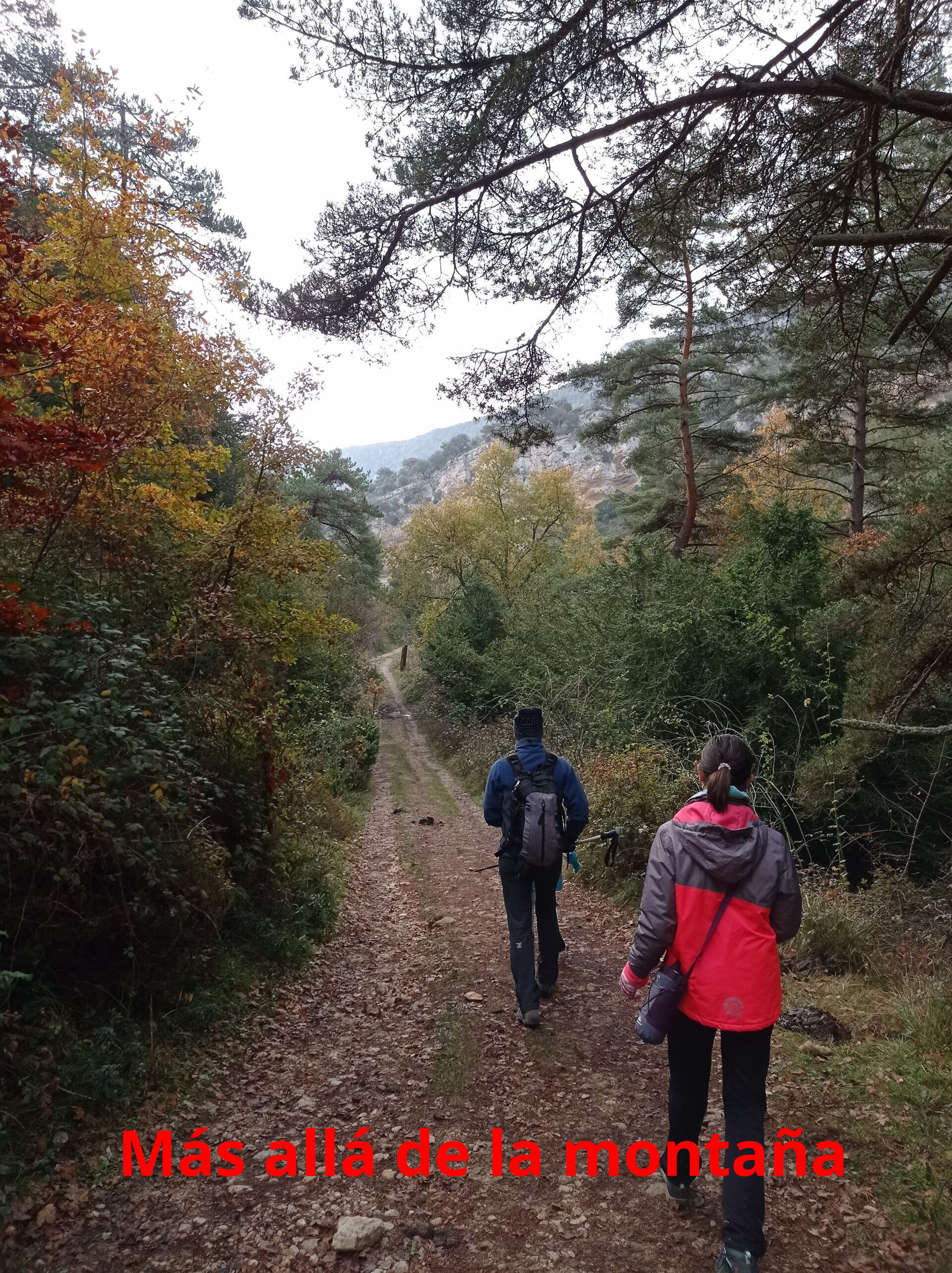 Cuando salimos del pinar y el camino se ensanchaba y nos vemos rodeados por paredes de roca caliza por donde pasa las aguas del río Purón. Seguimos descendiendo hasta encontrarnos de nueva a la par del cauce del río.