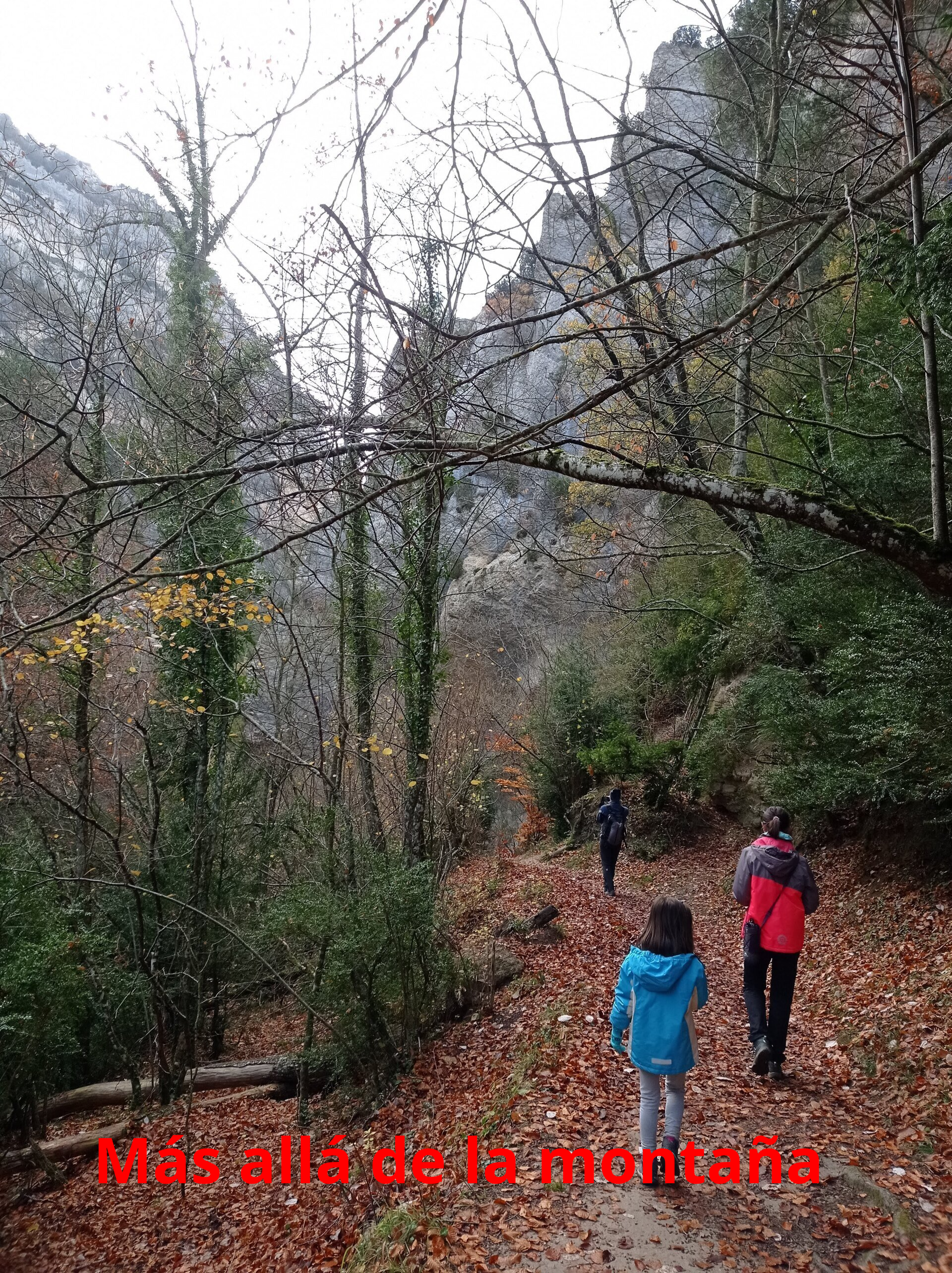 Continuamos bajando por un sendero rodeados de árboles que formaban un bosque en galería y llegamos de nuevo junto al cauce del río.