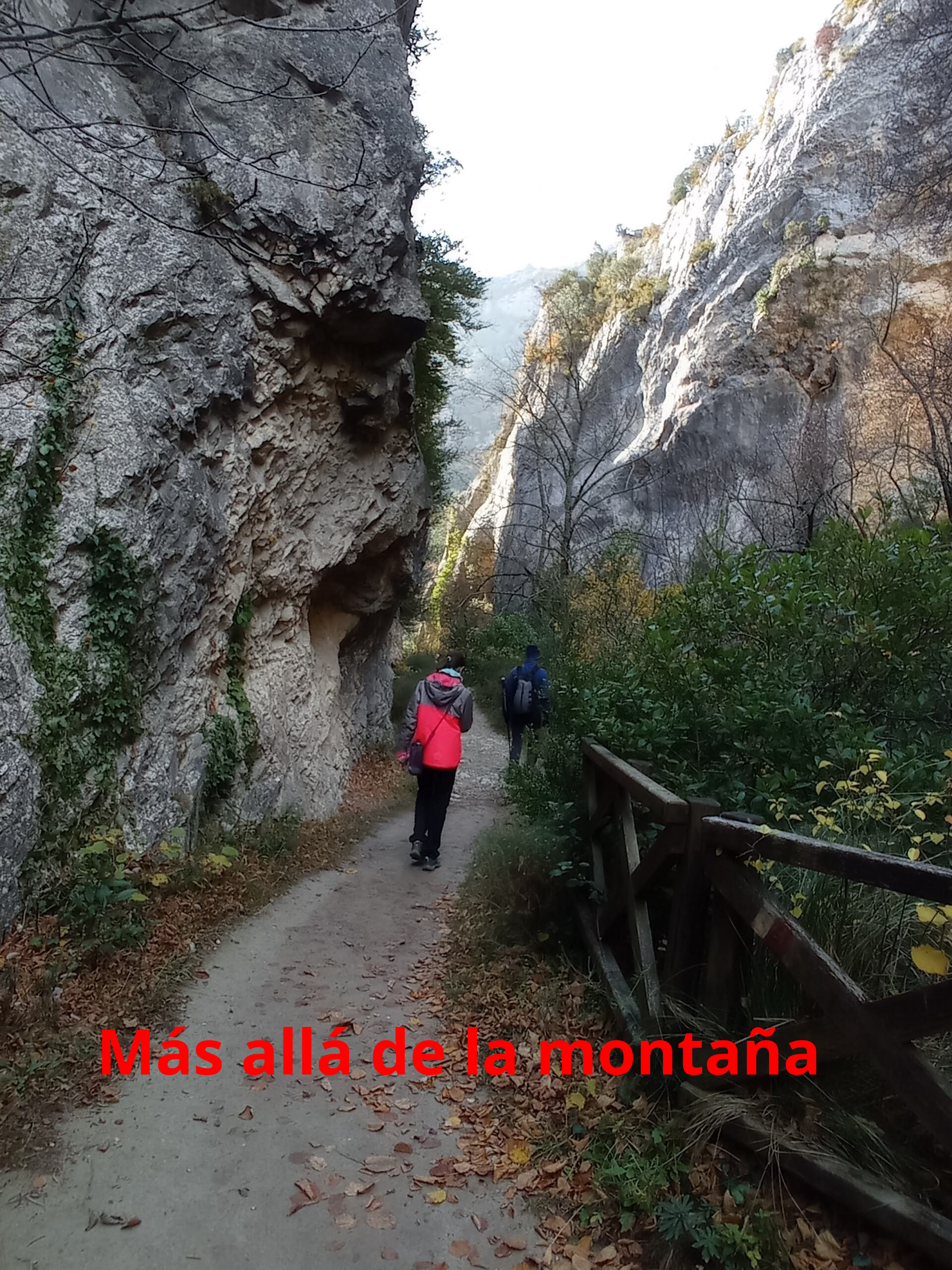 Seguimos andando junto a la pared rocosa