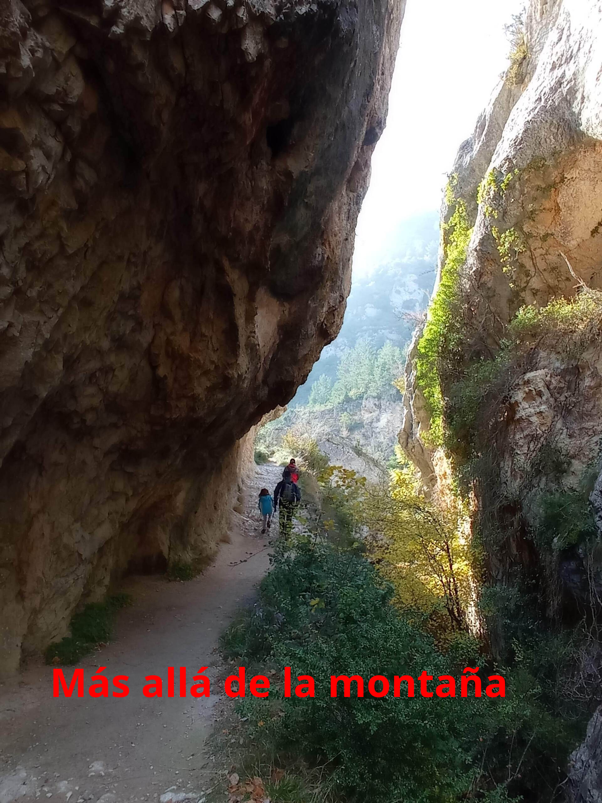 Desfiladero del río Purón