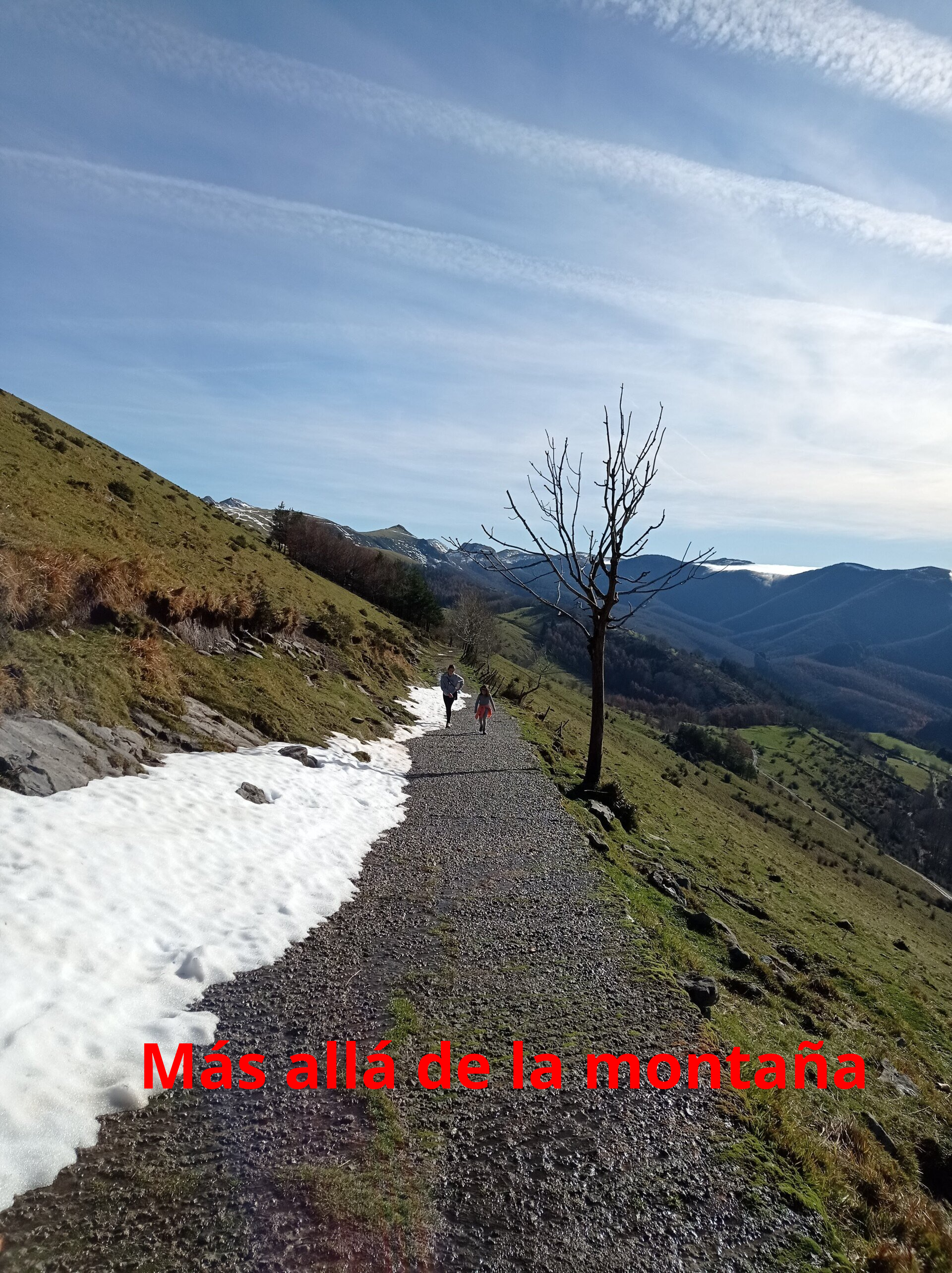 Subida por la pista hacia Aloñamendi