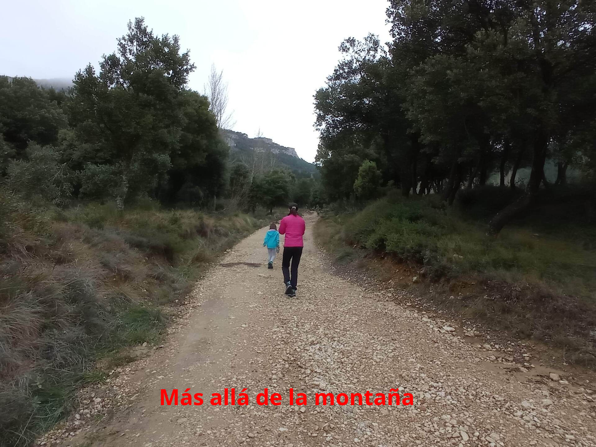 Este sendero o pista va flanqueando la vertiente sur de Toloño para luego pasar a la vertiente suroeste de la montaña, desde donde alcanzaremos la cima.  Al tratarse de una pista, es muy como andar por ella y mientras vamos faldeando la montaña, vamos subiendo poco a poco.