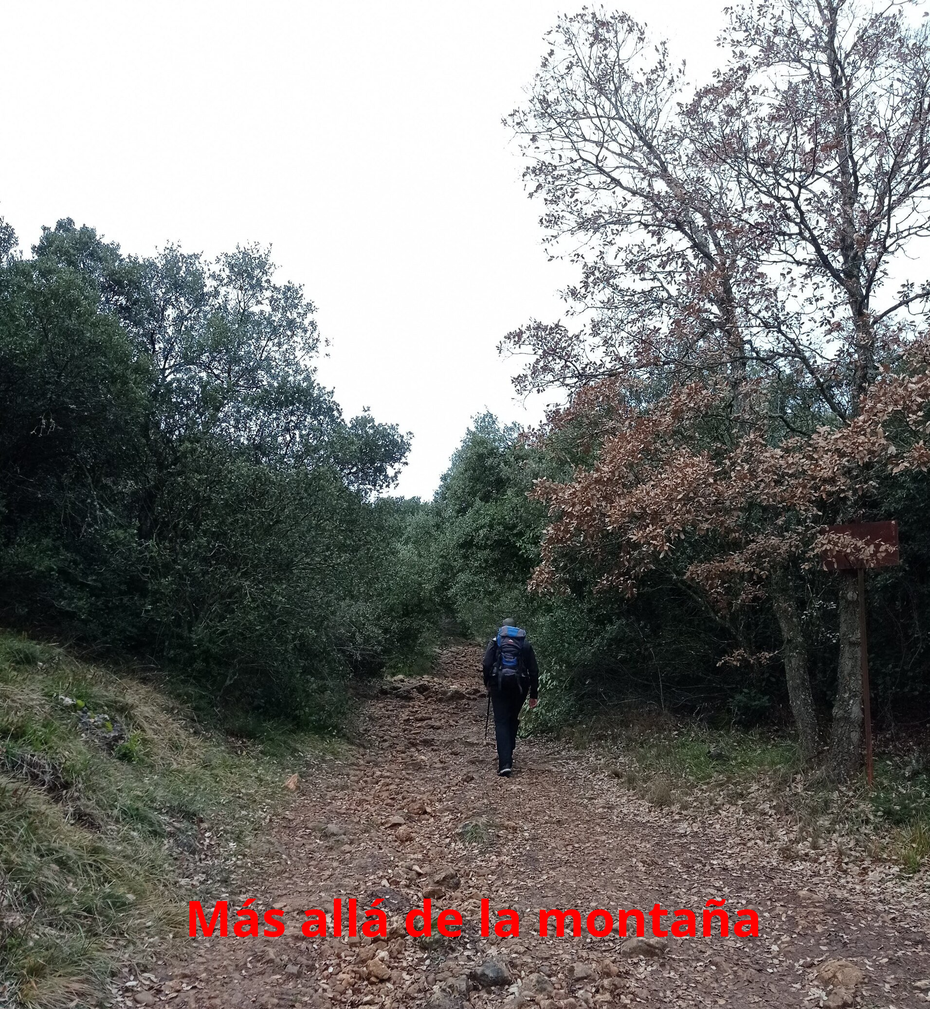 Ahora la pista se convierte en sendero  que va  entre robles y en dirección noroeste hasta llegar a las ruinas de la ermita del Humilladero.