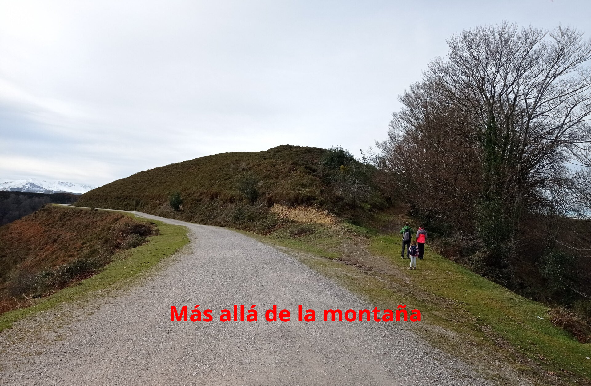Una vieja pista permite subir al prado verde, amplio, mullido, por el cual llegamos hasta la cima de Tordías.