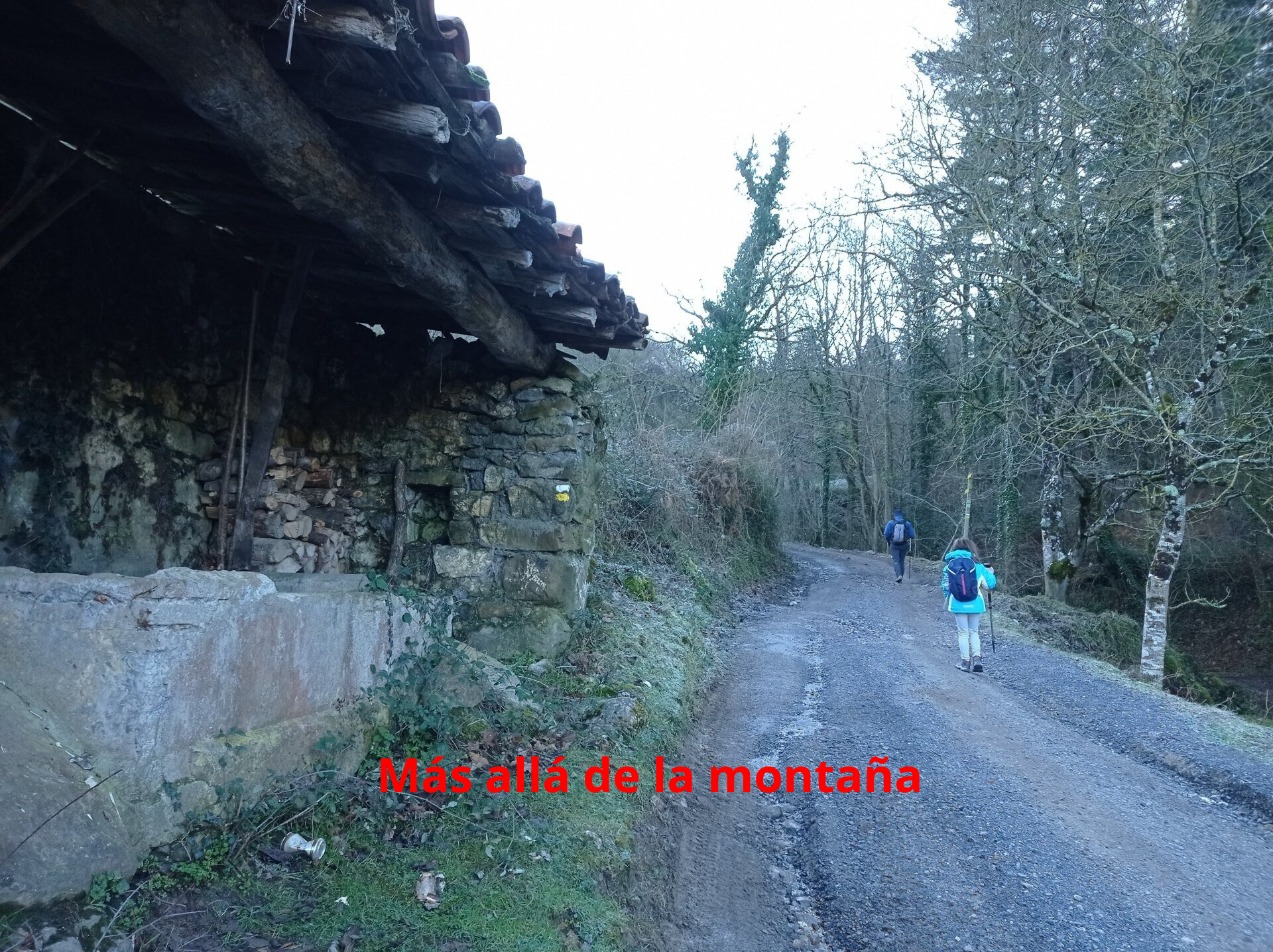 Comenzamos a andar por la pista, pasamos por una fuente y sin cruzar el arroyo, seguimos recto.