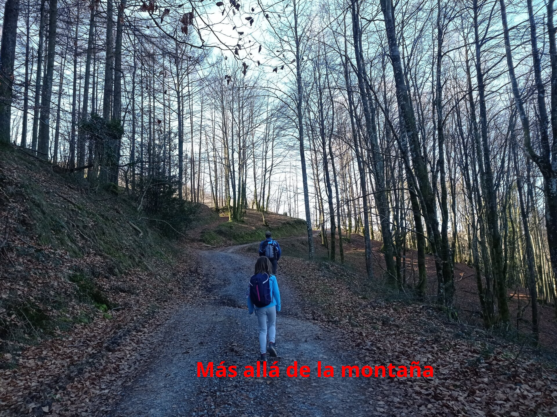 El camino cada vez más pendiente describe unas cuantas curvas, pasando por viejos hayedos hasta llegar al collado de Lizargarate.