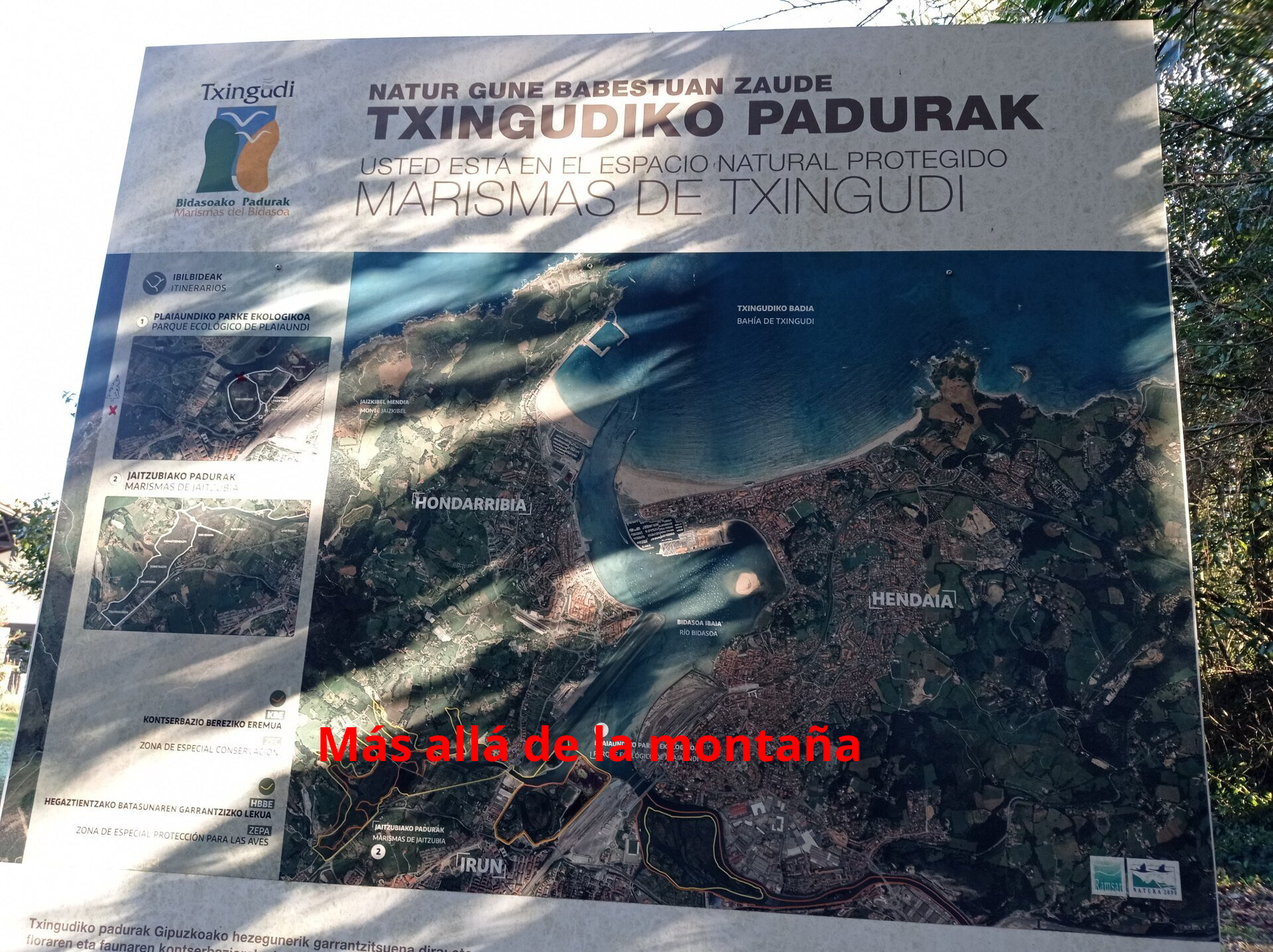 Este enclave excepcional sirve de refugio a aves migratorias, y actualmente, constituye un espacio con un valor naturalístico conocido internacionalmente, e integrado en la Zona de Especial Protección de Aves y Lugar de Interés Comunitario. Además, Plaiaundi está integrado en la Lista de Humedales de Importancia Internacional Ramsar.