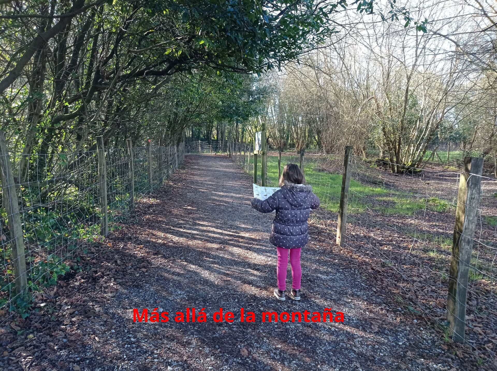 En Plaiaundi, existen varios espacios habilitados para la observación de aves