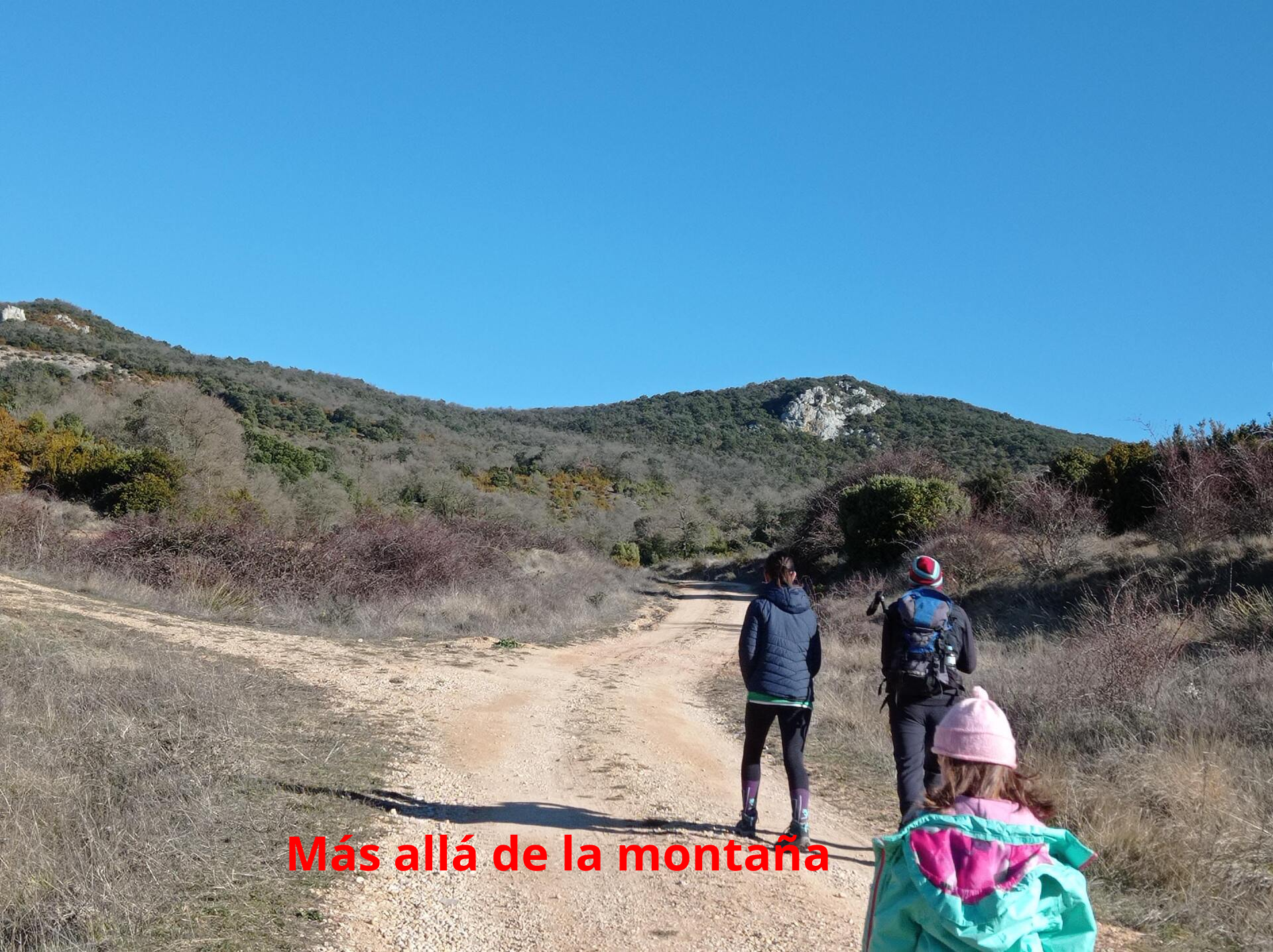 Un poco más adelante veremos otra bifurcación donde esta vez debemos decantarnos por el camino de la derecha, ya que el de la izquierda lleva directo la Tolacha. Nosotros primero queremos llegar al Peñalrayo.