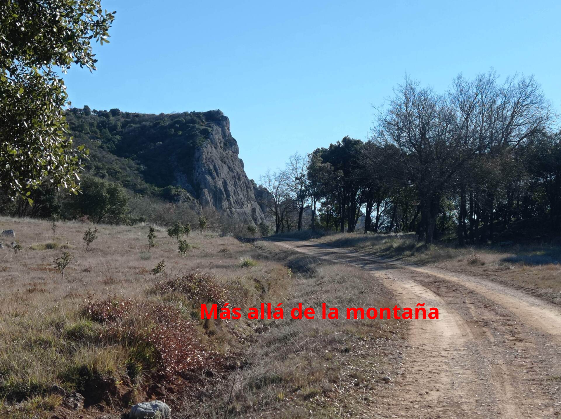El camino va subiendo poco a poco. Esta pista va entre robles y encinas.