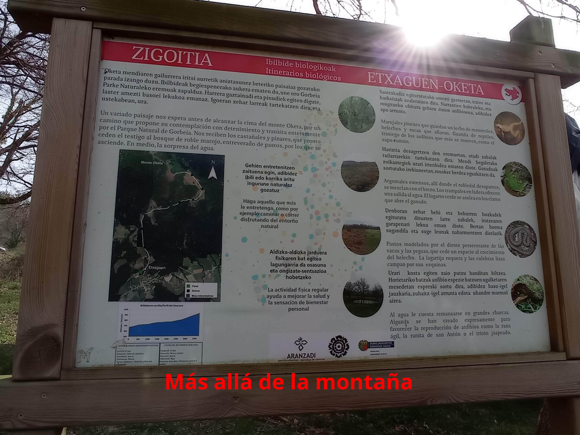 mapa de la subida a Oketa desde Etxaguen