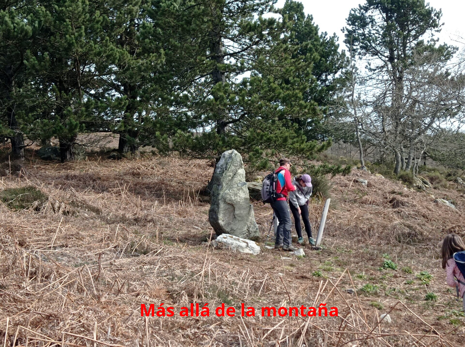 punto de interés en la subida a Oketa