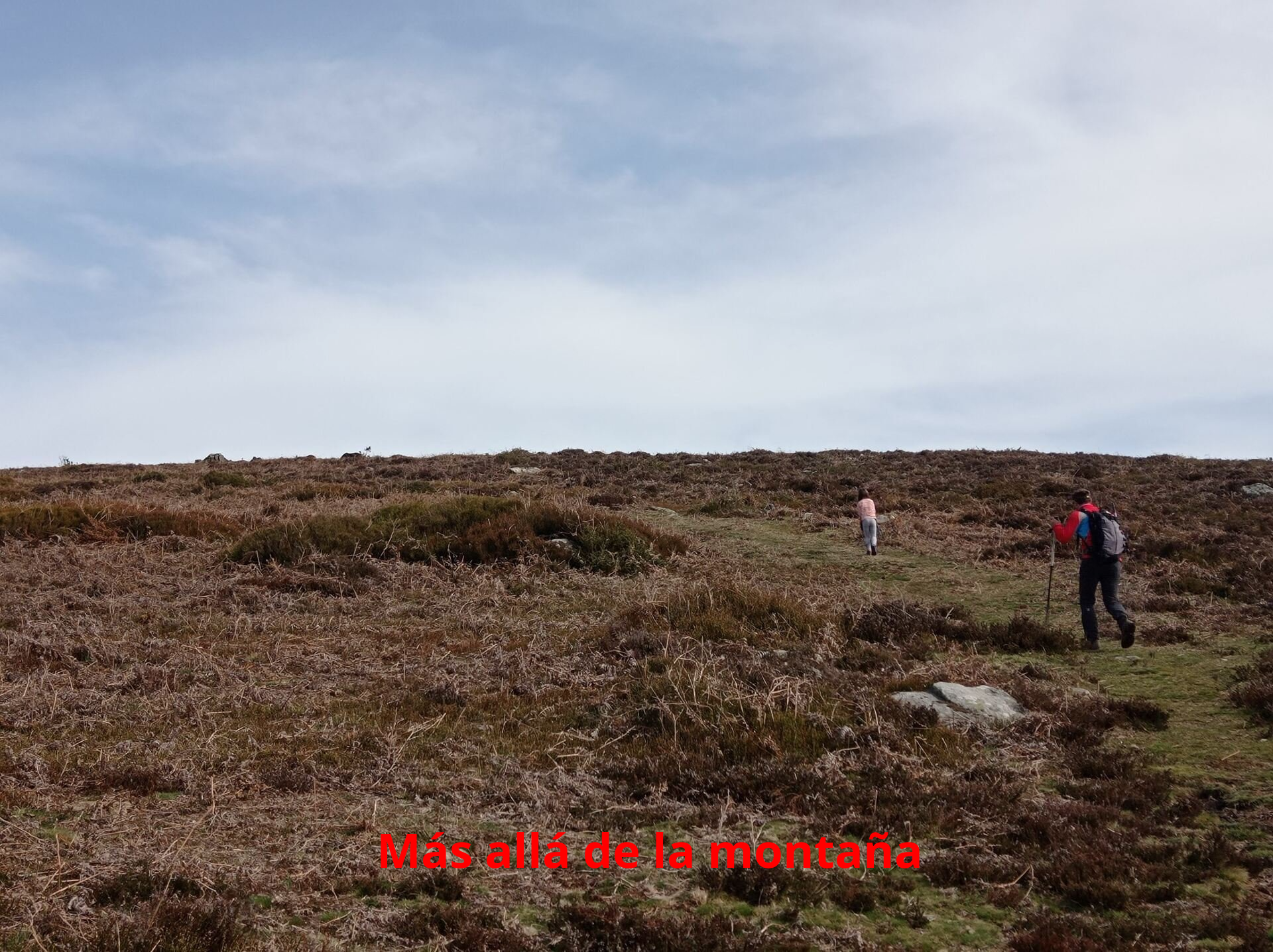 Siguiendo el camino en línea recta llegamos hasta un gran hito donde hay unas vacas y caballos pastando.
