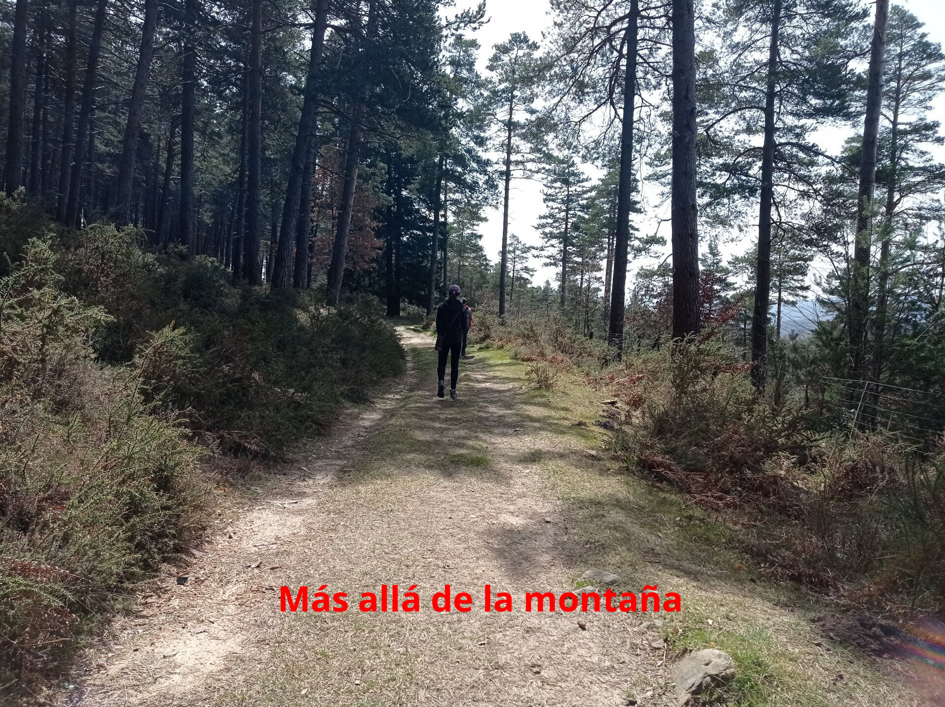 . Esta senda nos lleva a una pista más ancha la cual cogemos.  Esta pista nos llega a la campa donde nos desviamos para la subida.