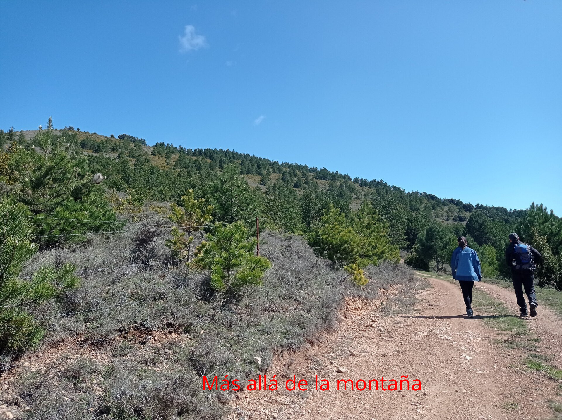 En el Collado de la Puerta hay varias opciones. Podéis salir de la pista hacia la derecha (dirección SO) e ir a la redondeada cima del Peña Soto, o seguir la pista por la que subimos y que lleva dirección hacia Clavijo. Nosotros escogimos esta última.