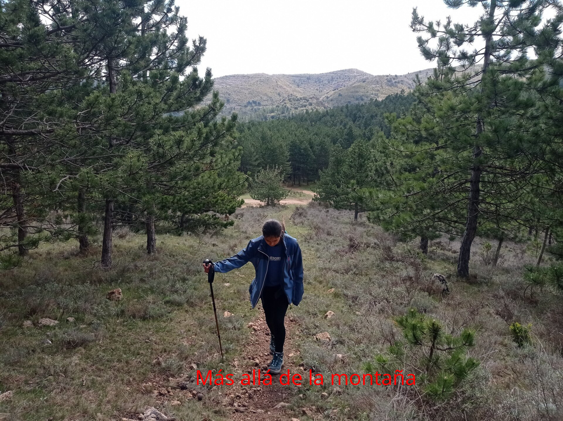 En esta parte debéis tener un poco de cuidad si vais con niños, pues la senda es estrecha va entre pinos y tienes una pendiente considerable, además no está indicado, por lo que os recomiendo que sigáis el track