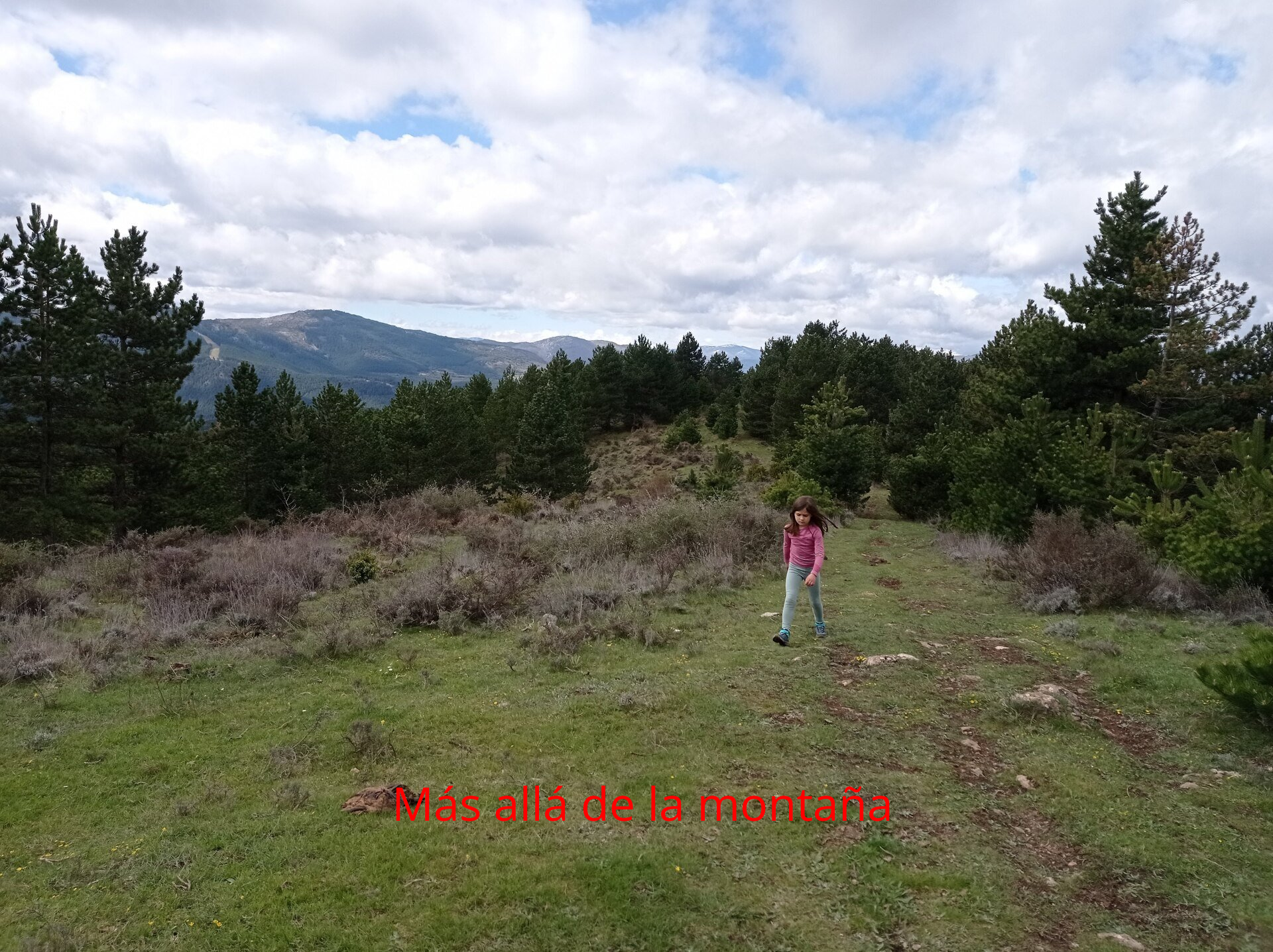 Una vez subida la pendiente (y hecho casi todo el desnivel) solo nos queda coger hacia la derecha y llanear hasta la cima de Rodalillo.