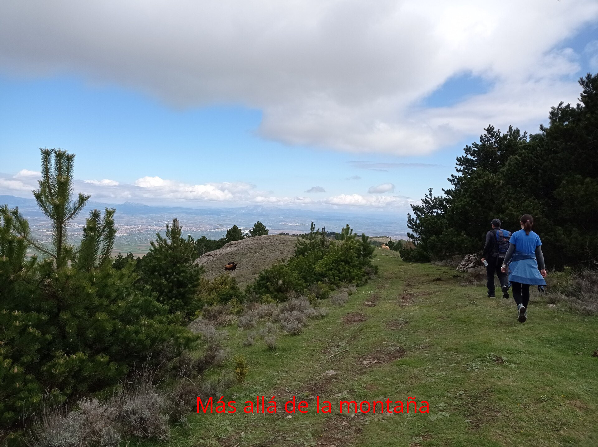 la cima de Rodalillo.