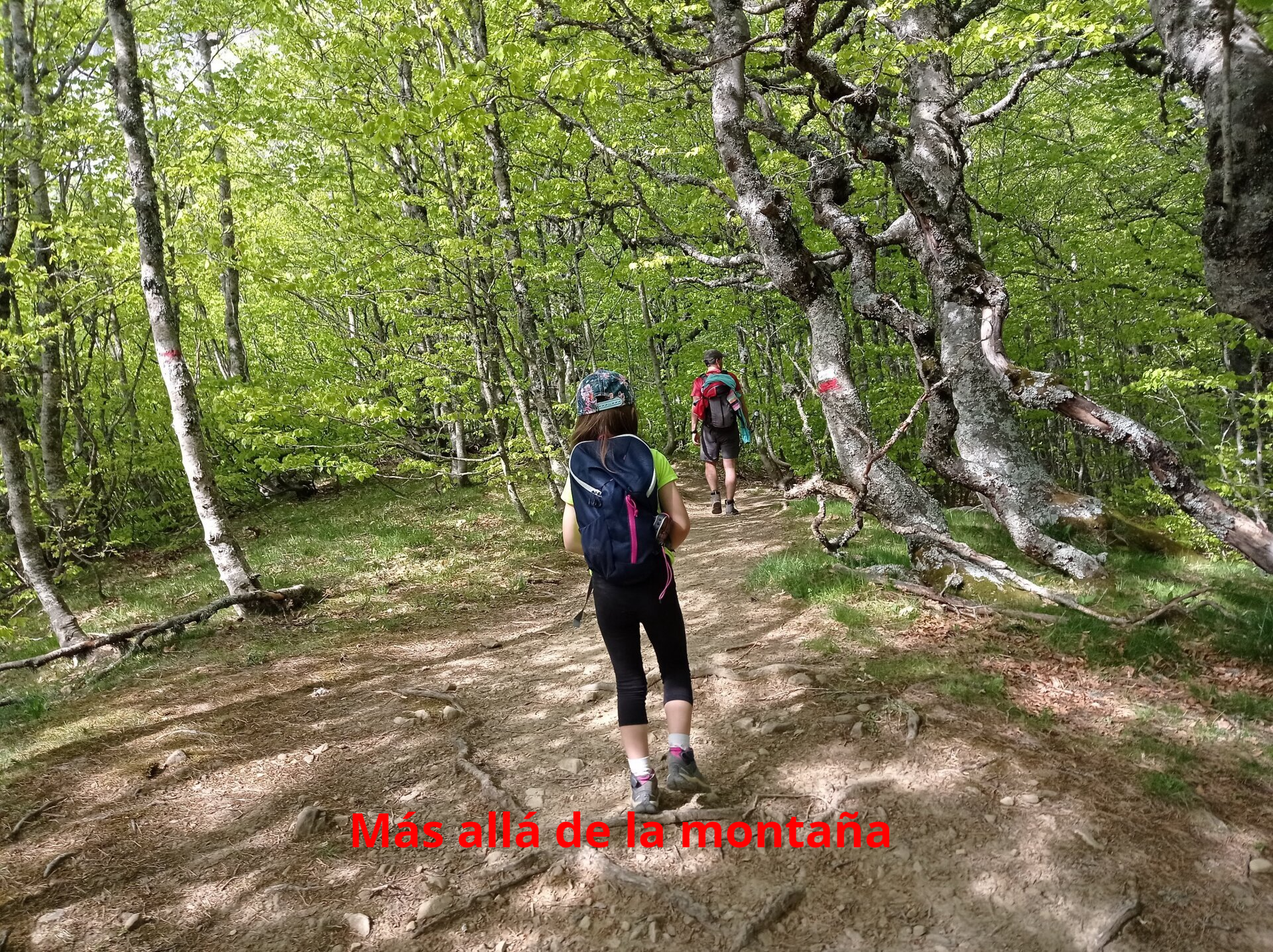 La ruta está señalizada con rayas blancas y rojas, por lo que no hay pérdida
