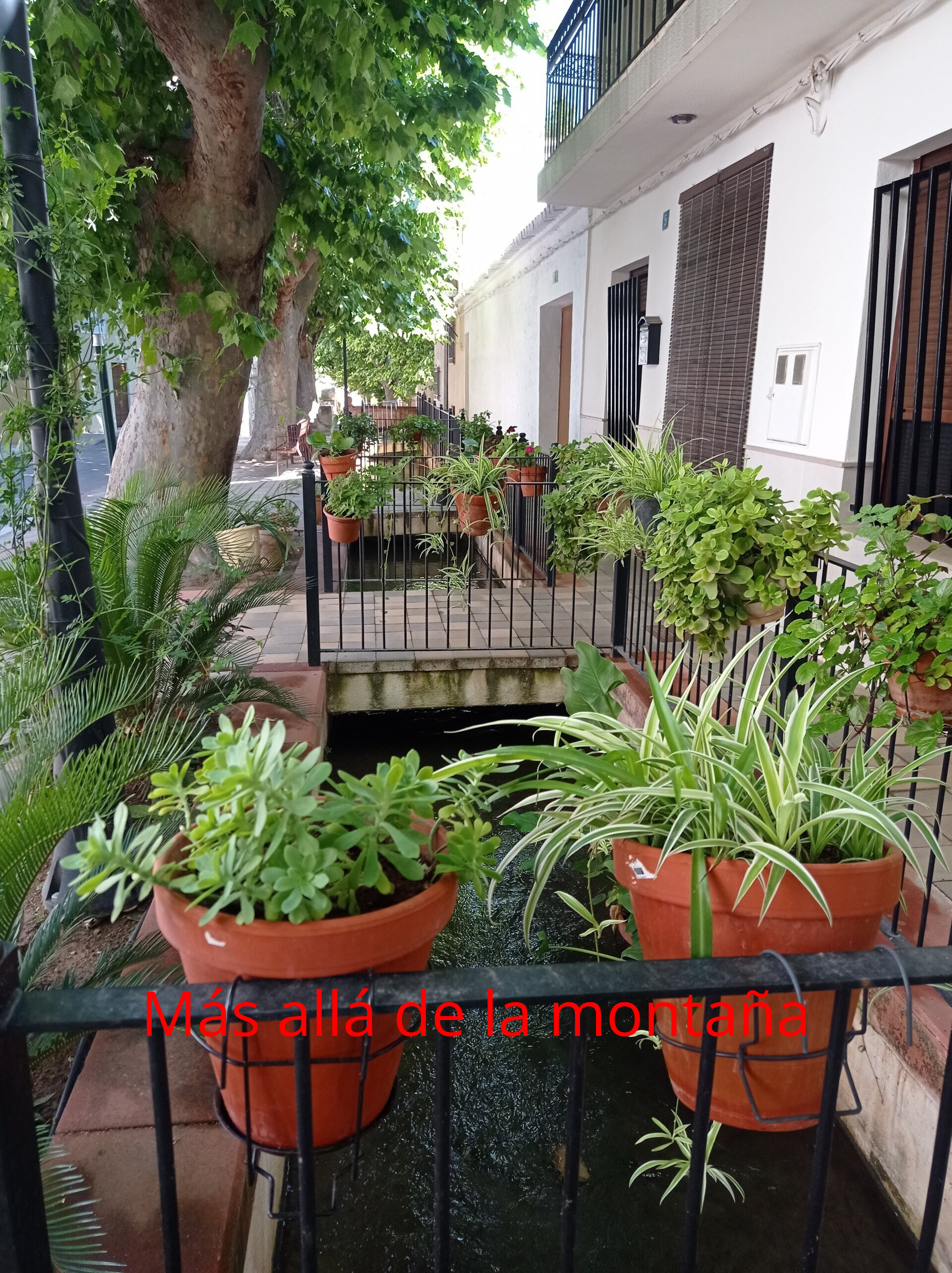 El pueblo de Anna